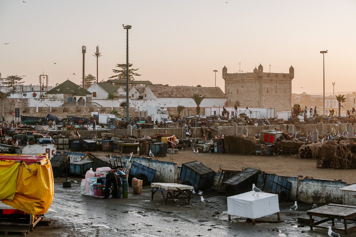 A view of the fish market and fish port in Essaouira Morocco which is one of the places to visit in Essaouira