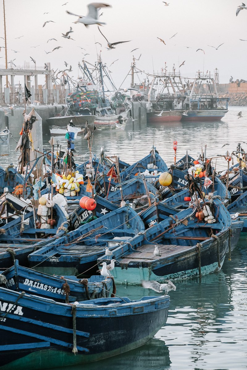The blue boats of Essaouira in the fishing port