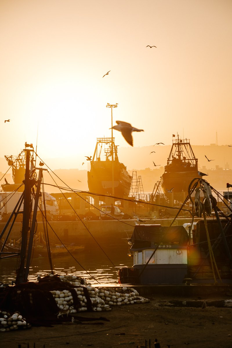 A sunrise at the fishing port in Essaouira